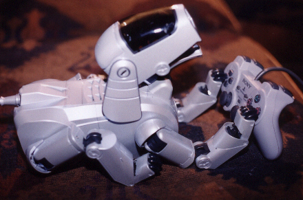 Kropserkel: AIBO Robot Dog!